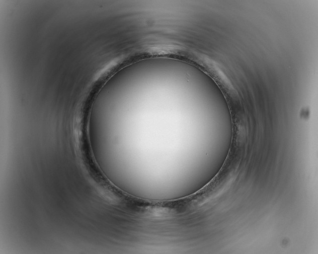 X0000102540539200808221931