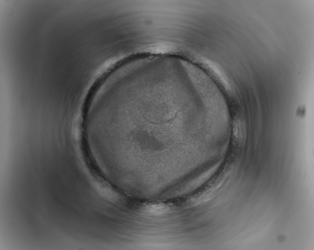 X0000102540540200808221931