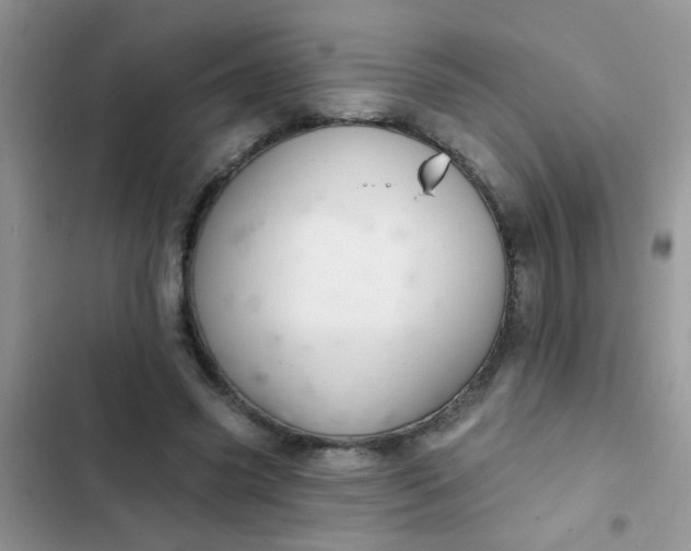 X0000102540541200808221931