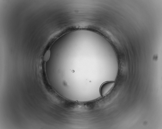 X0000102540543200808221931