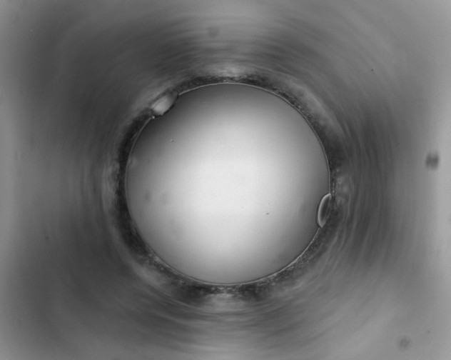 X0000102540544200808221931