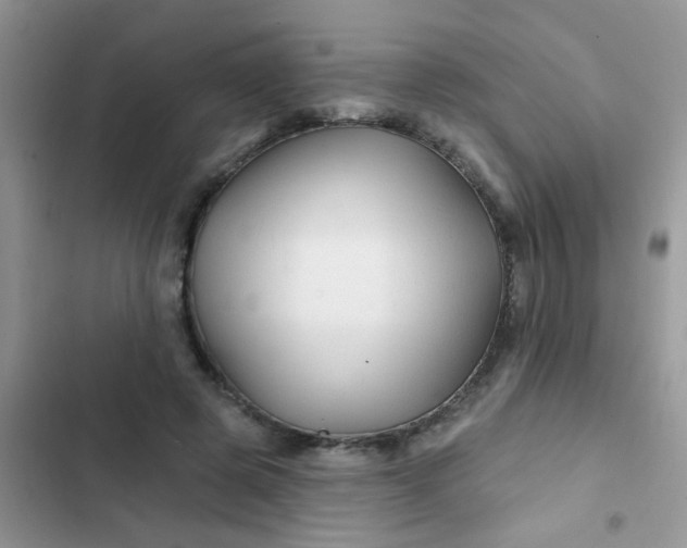 X0000102540545200808221931
