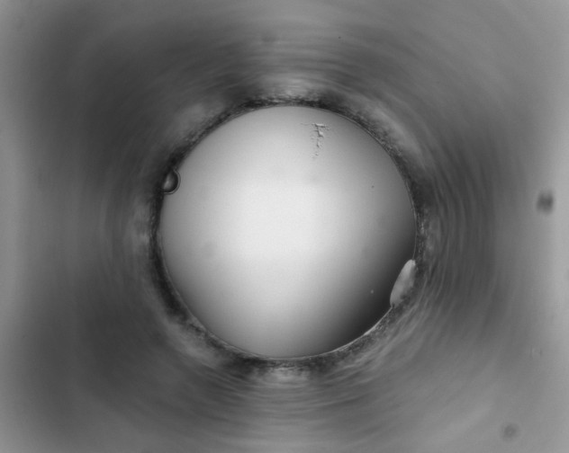 X0000102540546200808221931