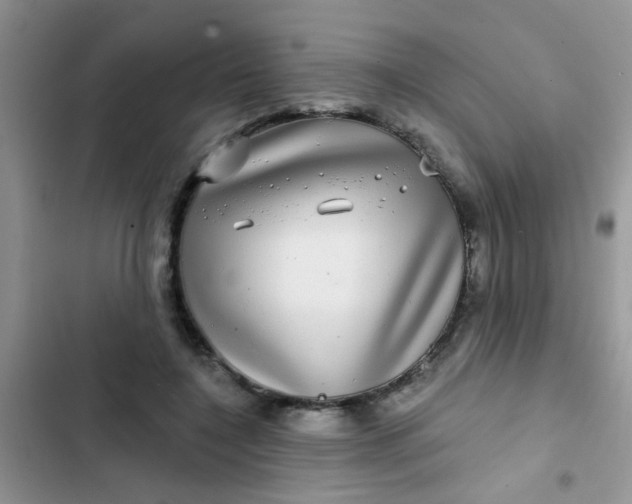 X0000102540548200808221931