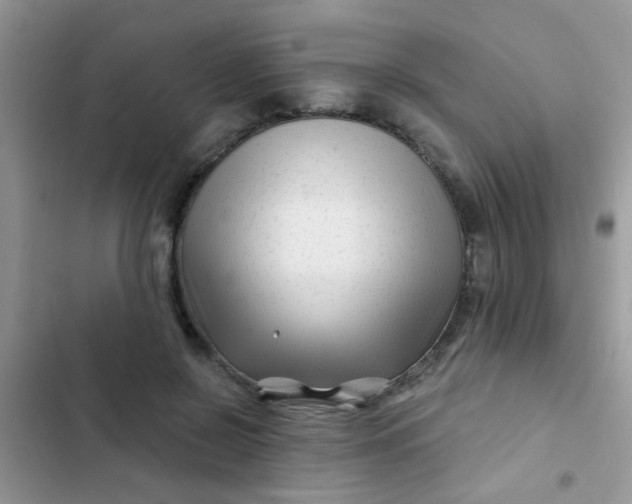 X0000102540550200808221931