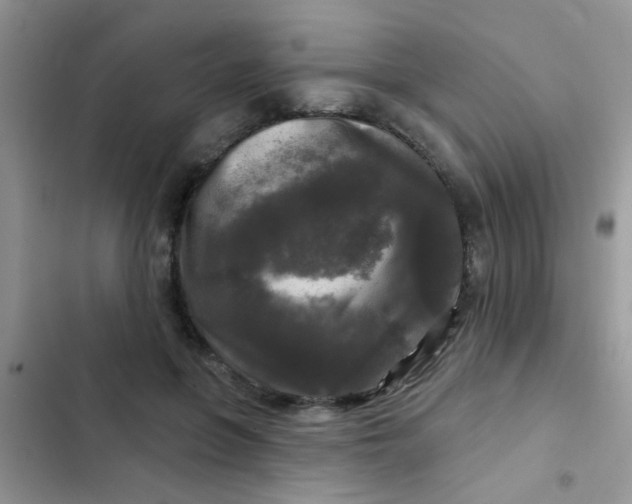 X0000102540551200808221931