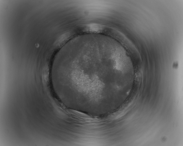 X0000102540552200808221931