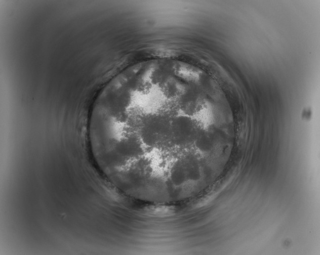 X0000102540553200808221931