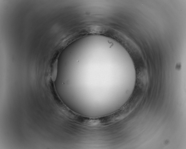 X0000102540554200808221931