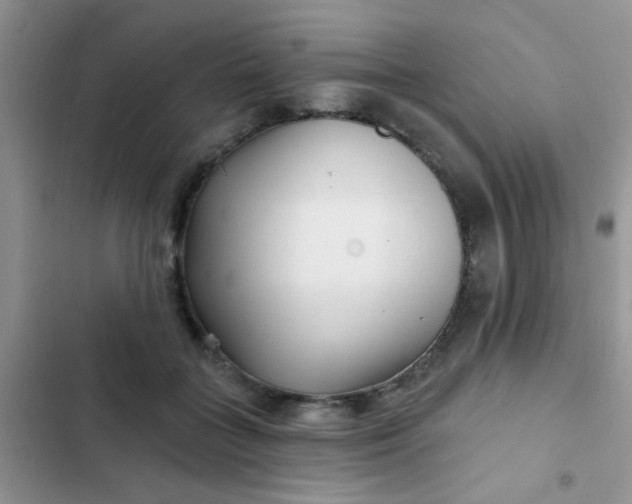 X0000102540555200808221931