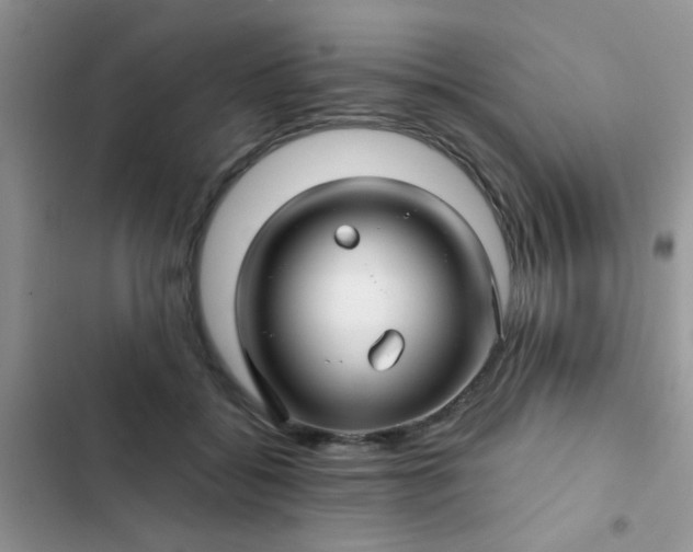 X0000102540556200808221931
