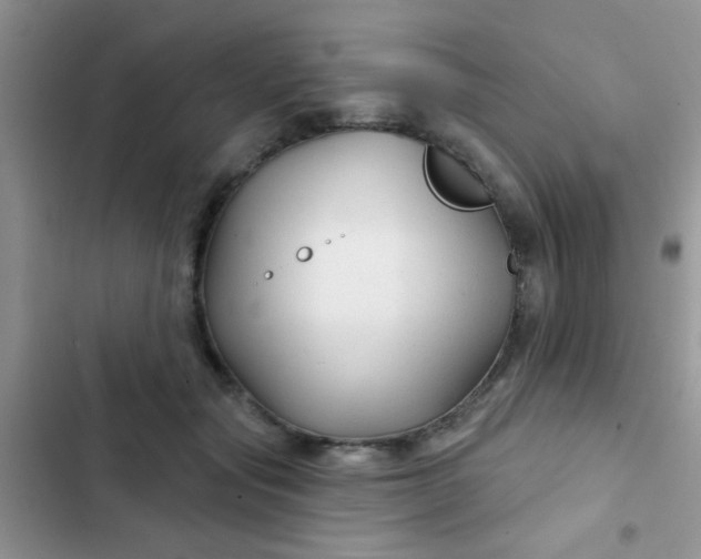 X0000102540557200808221931
