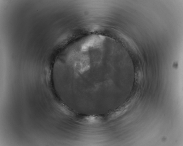 X0000102540558200808221931