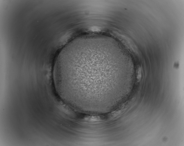 X0000102540559200808221931