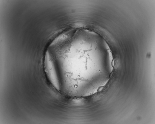 X0000102540560200808221931