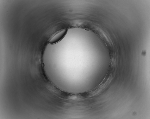 X0000102540561200808221931