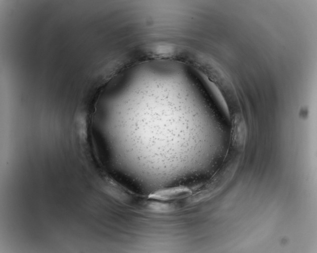 X0000102540562200808221931