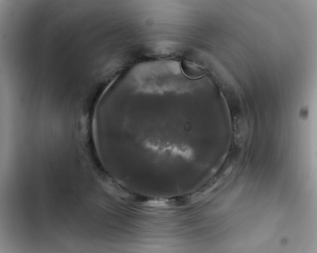 X0000102540563200808221931
