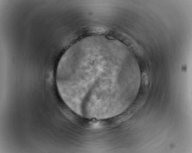 X0000102540564200808221931