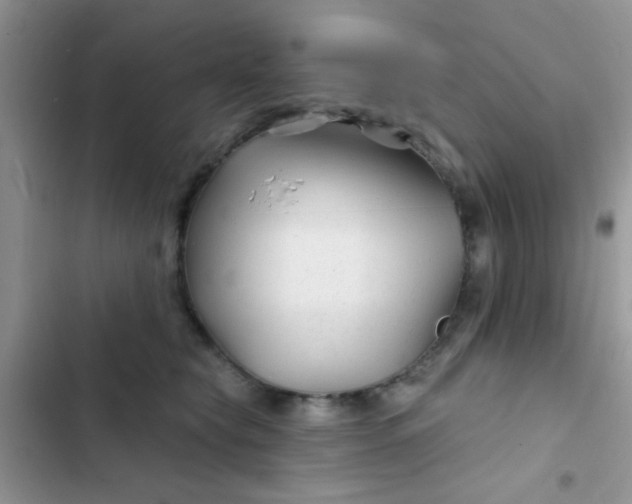 X0000102540565200808221931