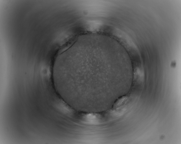 X0000102540566200808221931
