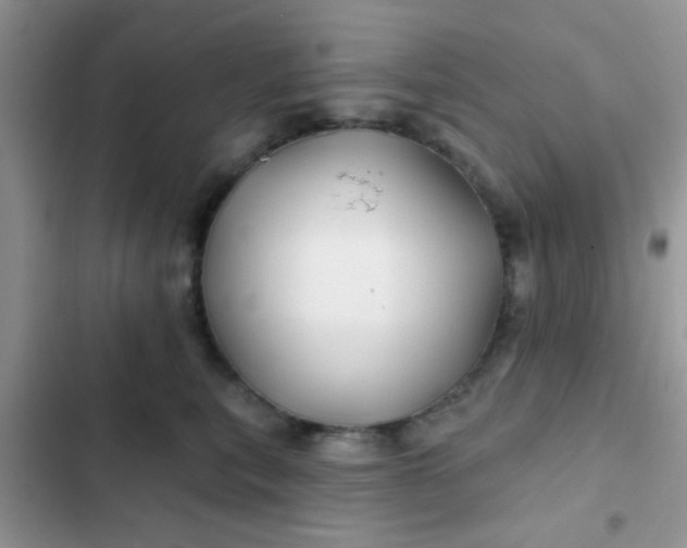 X0000102540567200808221931