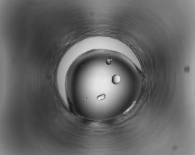X0000102540568200808221931