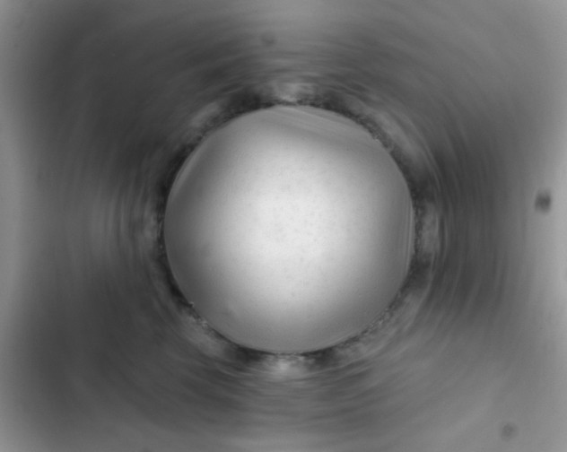 X0000102540569200808221931