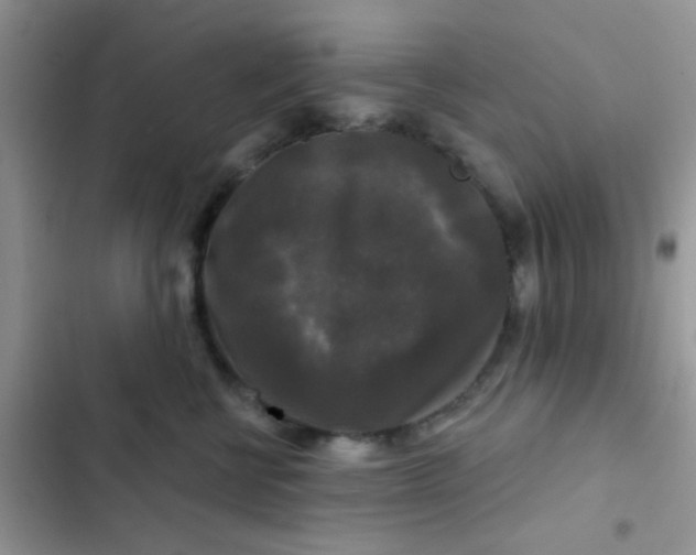 X0000102540570200808221931