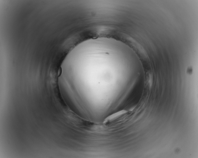 X0000102540571200808221931