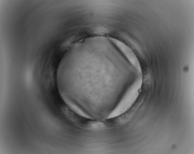 X0000102540572200808221931
