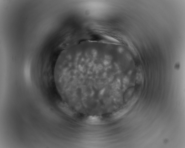 X0000102540573200808221931