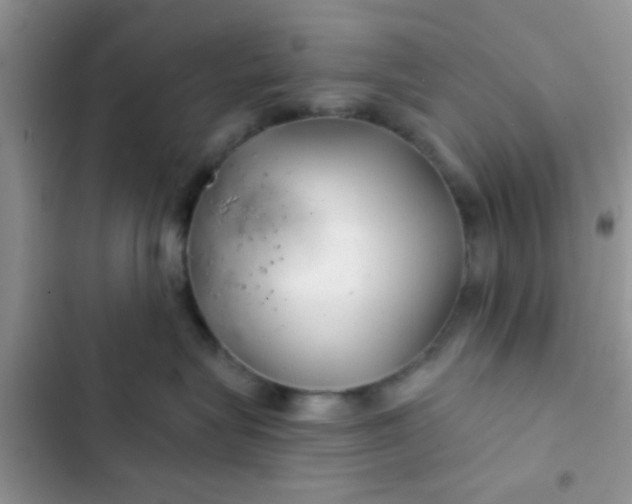X0000102540575200808221932