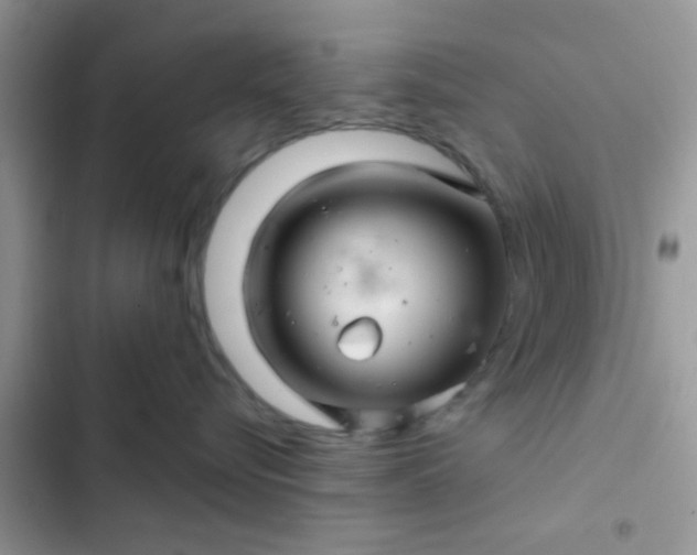 X0000102540576200808221932