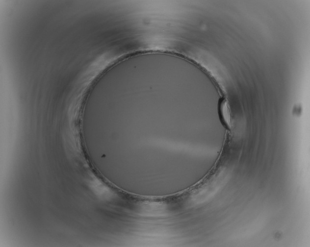 X0000102540577200808221931