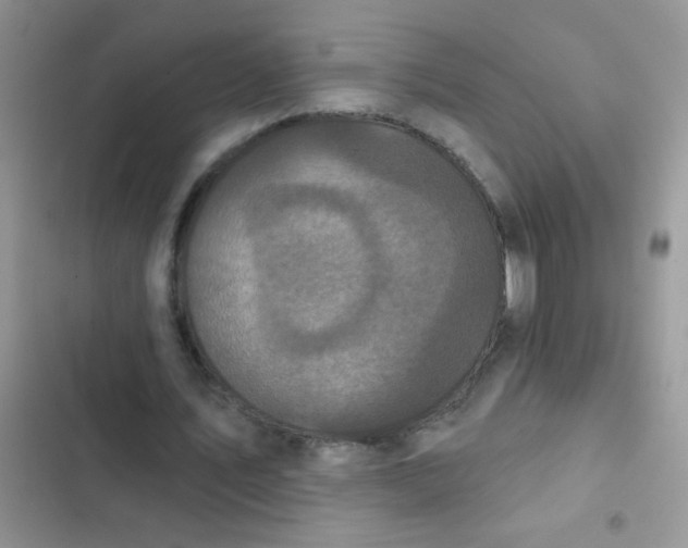 X0000102540579200808221931