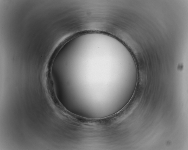 X0000102540580200808221931