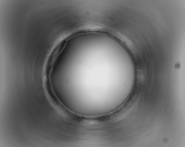 X0000102540582200808221931