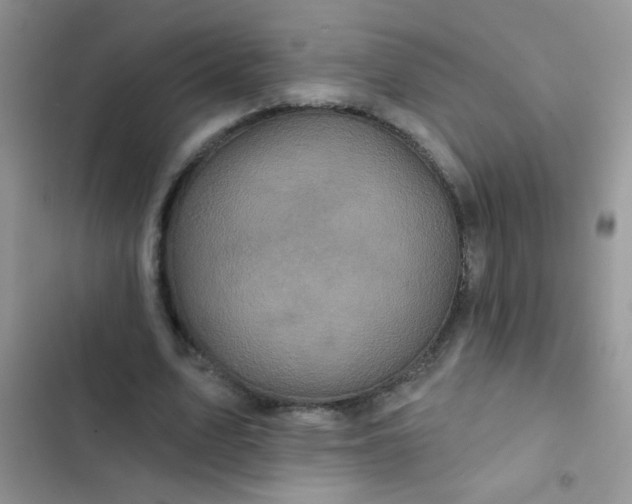 X0000102540583200808221931