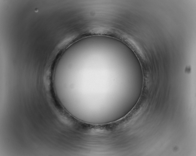 X0000102540586200808221931