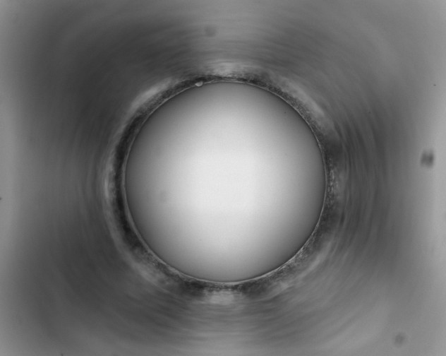 X0000102540587200808221931
