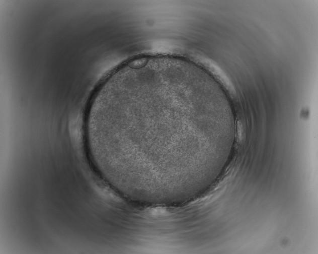 X0000102540588200808221931