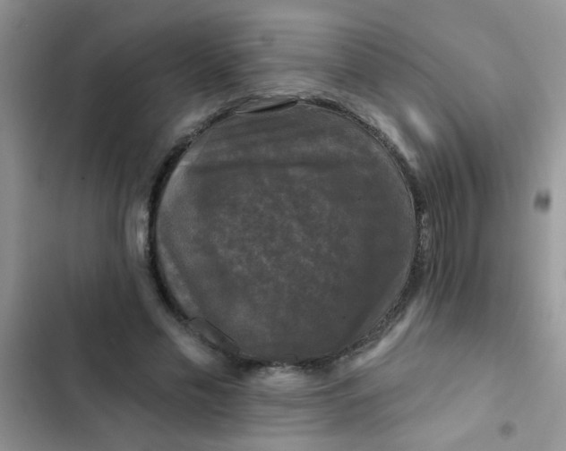 X0000102540589200808221931