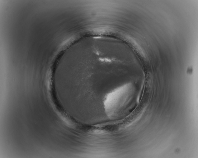 X0000102540590200808221931