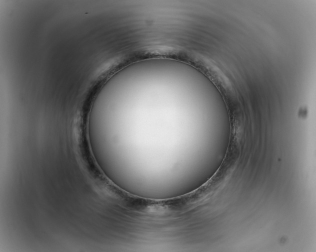 X0000102540591200808221931