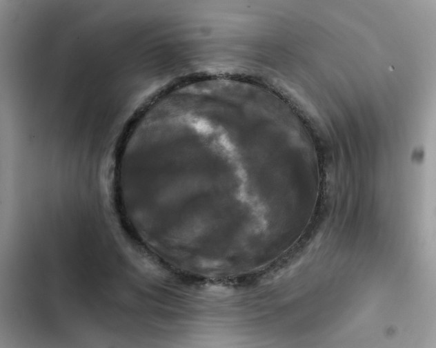 X0000102540592200808221931