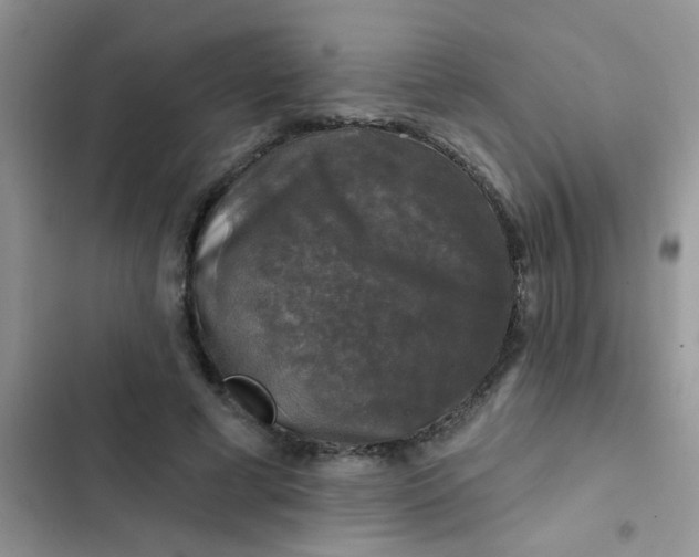 X0000102540593200808221931