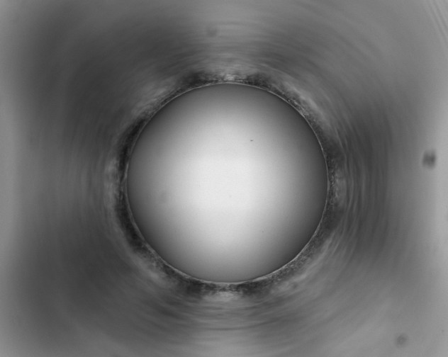 X0000102540594200808221931
