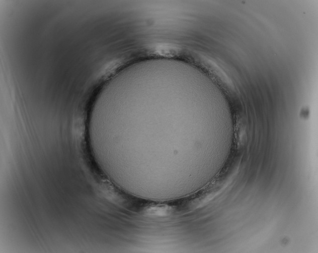 X0000102540595200808221931