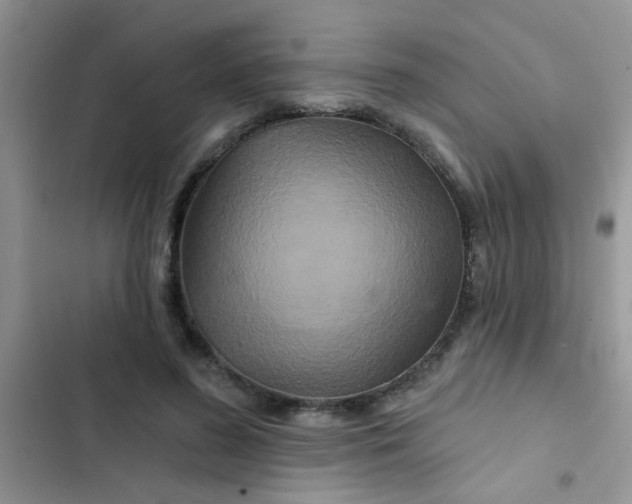 X0000102540596200808221931